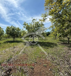 ������� ���������� ���� | Imot.bg � ����� ������ 2