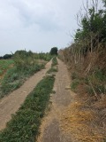 Продава ПАРЦЕЛ, гр. Добрич, Рилци, снимка 5