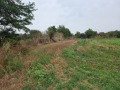 Продава ПАРЦЕЛ, гр. Добрич, Рилци, снимка 4