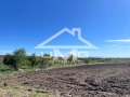 Продава ЗЕМЕДЕЛСКА ЗЕМЯ, с. Храбърско, област София област, снимка 5