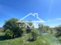 Продава ЗЕМЕДЕЛСКА ЗЕМЯ, с. Храбърско, област София област, снимка 3