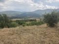 Продава ЗЕМЕДЕЛСКА ЗЕМЯ, с. Горна Брестница, област Кюстендил, снимка 5