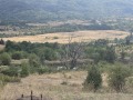 Продава ЗЕМЕДЕЛСКА ЗЕМЯ, с. Горна Брестница, област Кюстендил, снимка 8