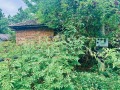 Продава  Парцел област Варна , гр. Вълчи дол , 925 кв.м | 93768837 - изображение [3]