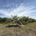 Продава  Земеделска земя област Пловдив , гр. Перущица , 21 дка | 86265837