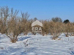 ����� ������� ������,�. �������, ������ ����