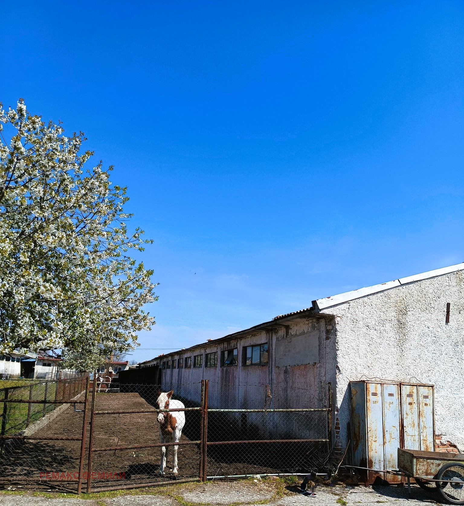Продава БИЗНЕС ИМОТ, гр. Добрич, Рилци, снимка 3 - Други - 54709440