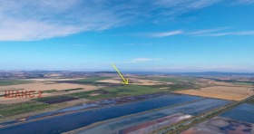 ������ ������� ������