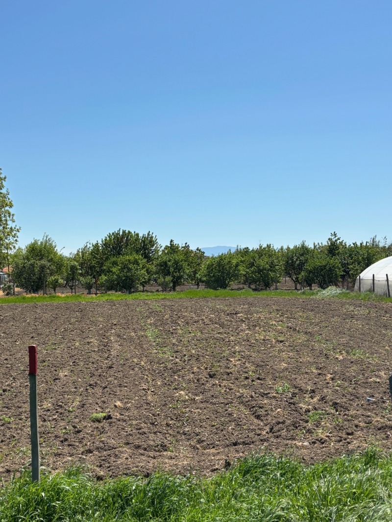 For Sale  Plot region Plovdiv , Milevo , 626 sq.m | 13349559 - image [4]