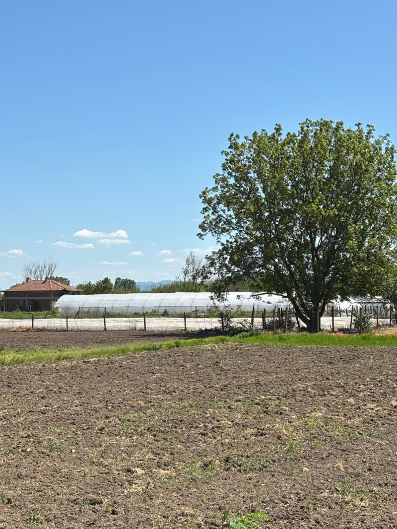 For Sale  Plot region Plovdiv , Milevo , 626 sq.m | 13349559 - image [5]