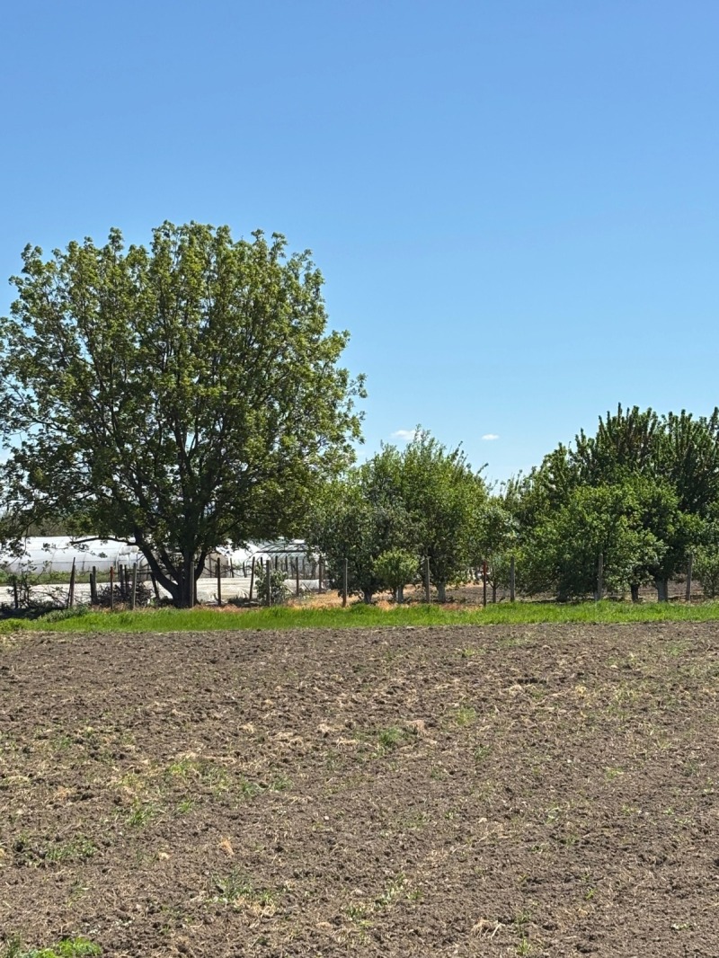 For Sale  Plot region Plovdiv , Milevo , 626 sq.m | 13349559 - image [6]