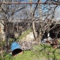 Продава ПАРЦЕЛ, област Стара Загора, с. Оряховица • 17700 € • 30980534 — Holmes.bg