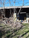 Продава ПАРЦЕЛ, област Стара Загора, с. Оряховица • 17700 € • 30980534 — Holmes.bg