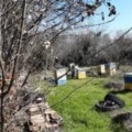 Продава ПАРЦЕЛ, област Стара Загора, с. Оряховица • 17700 € • 30980534 — Holmes.bg