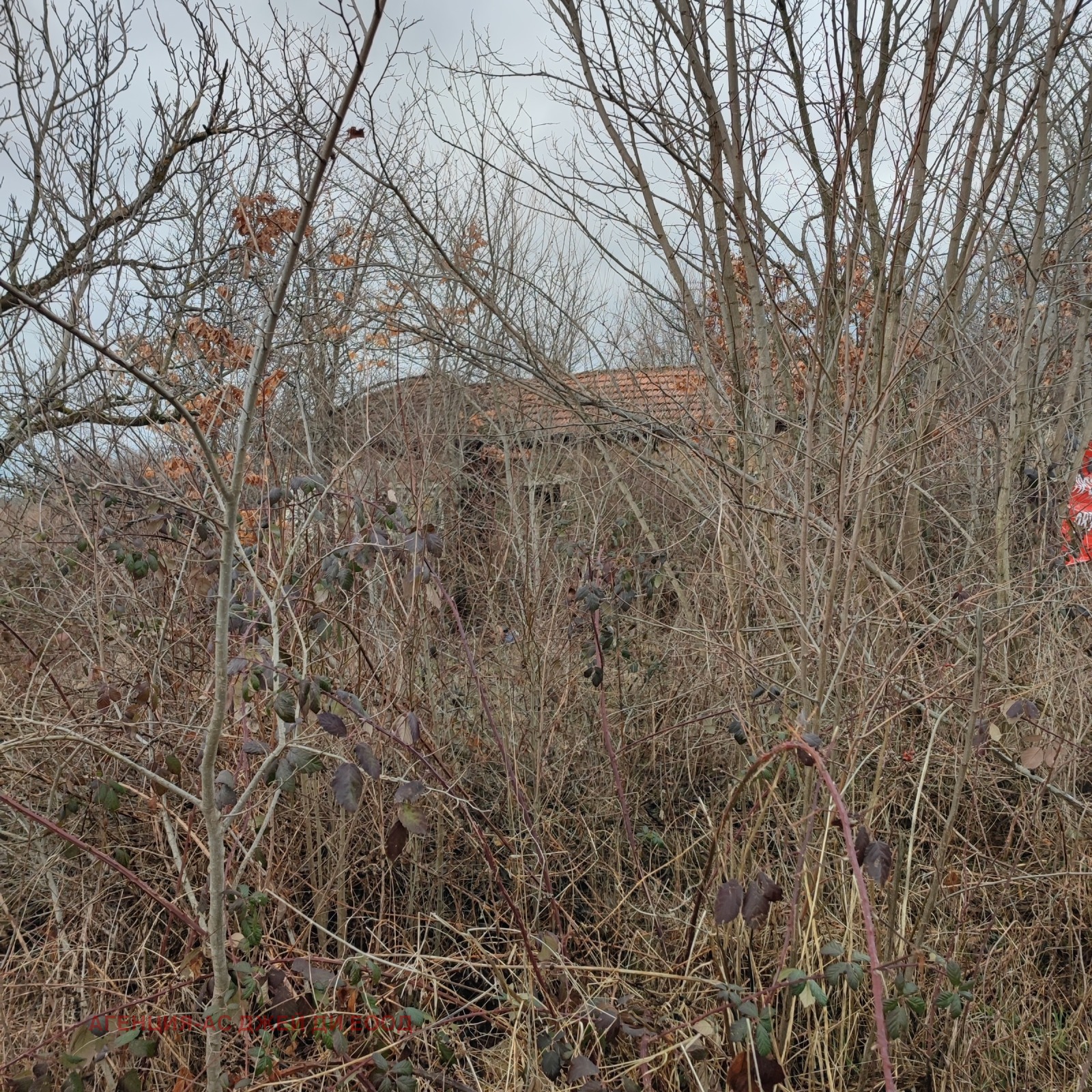 ������� ������ | Imot.bg � ����������� 13