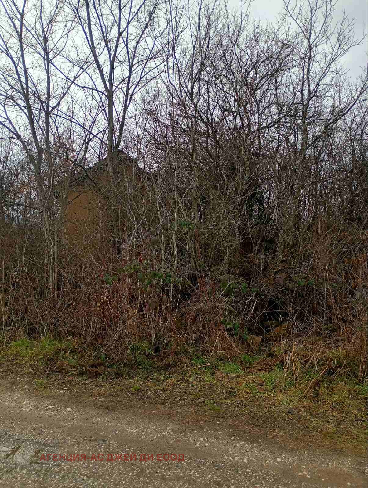 ������� ������ | Imot.bg � ����������� 8