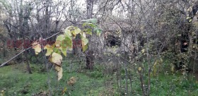 ������� ���� | Imot.bg � ����� ������ 8