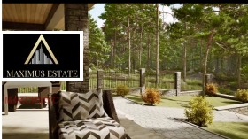 ������ ������� ����