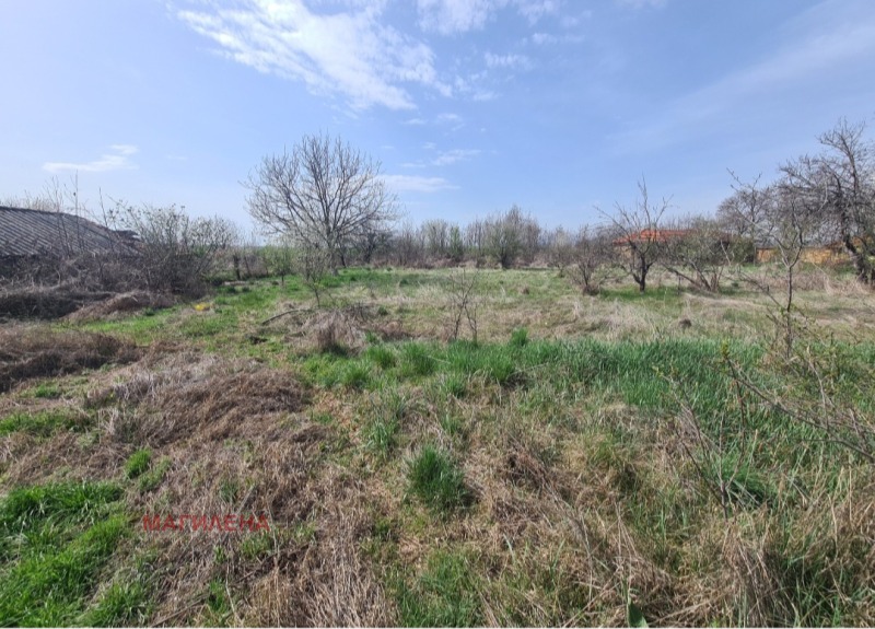 Продава КЪЩА, с. Сухозем, област Пловдив, снимка 8 - Къщи - 52646918