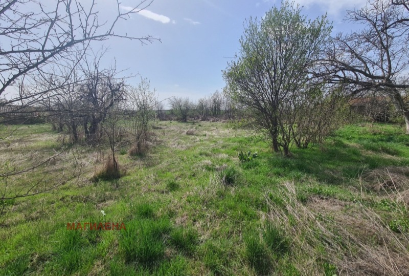 Продава КЪЩА, с. Сухозем, област Пловдив, снимка 6 - Къщи - 52646918