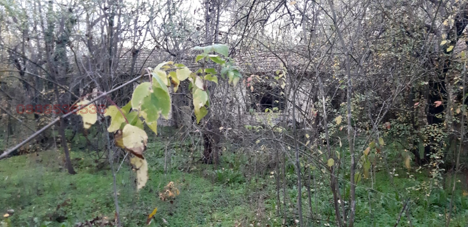 Продава КЪЩА, с. Съединение, област Стара Загора, снимка 8 - Къщи - 55168343