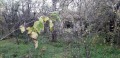 Продава  Къща област Стара Загора , с. Съединение , 200 кв.м | 99152270 - изображение [8]