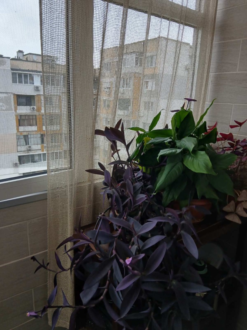 Продава 3-СТАЕН, гр. Варна, Кайсиева градина, снимка 5 - Апартаменти - 52047261