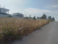 Продава ПАРЦЕЛ, с. Гурмазово, област София област, снимка 5