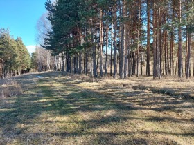 Парцел гр. Разлог, област Благоевград 1