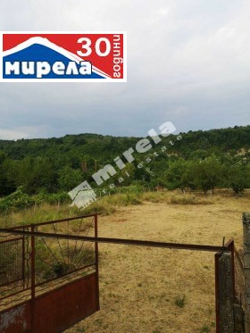 Grund Natsovtsi, region Veliko Tarnovo