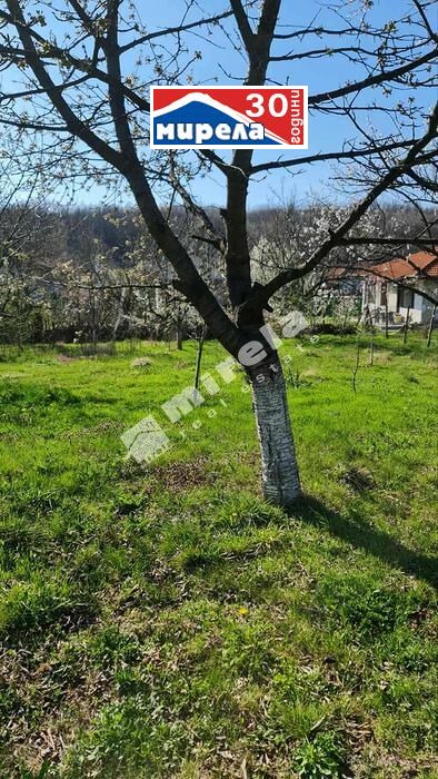 For Sale  Plot region Veliko Tarnovo , Natsovtsi , 1290 sq.m | 94666459 - image [5]