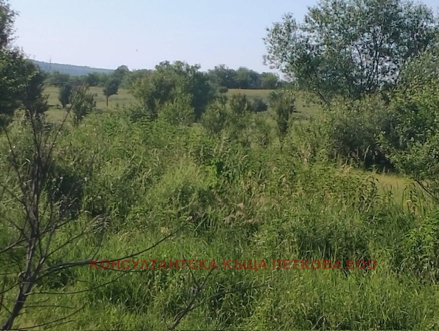 Eladó  Cselekmény régió Lovech , Goran , 1300 négyzetméter | 71568990