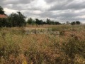 Продава  Парцел област Варна , с. Бояна , 5545 кв.м | 59255179 - изображение [17]