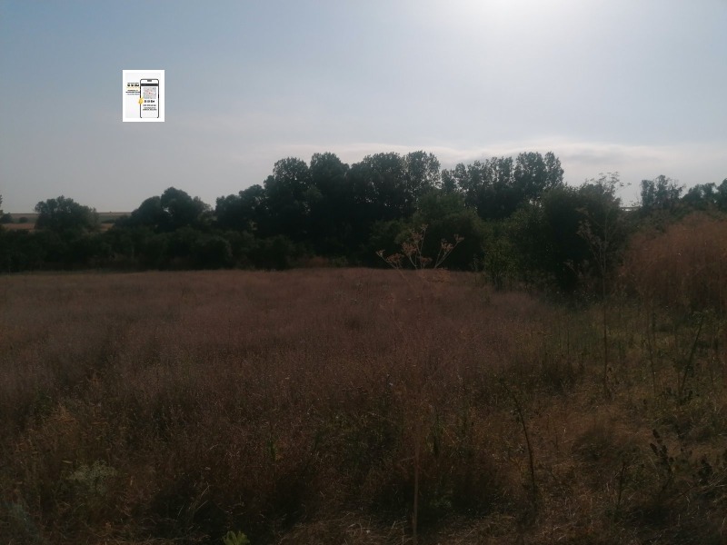 For Sale  Plot region Varna , Levski , 1145 sq.m | 37686199 - image [6]