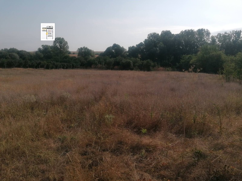 For Sale  Plot region Varna , Levski , 1145 sq.m | 37686199