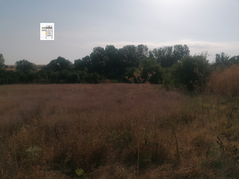 For Sale  Plot region Varna , Levski , 1145 sq.m | 37686199 - image [5]