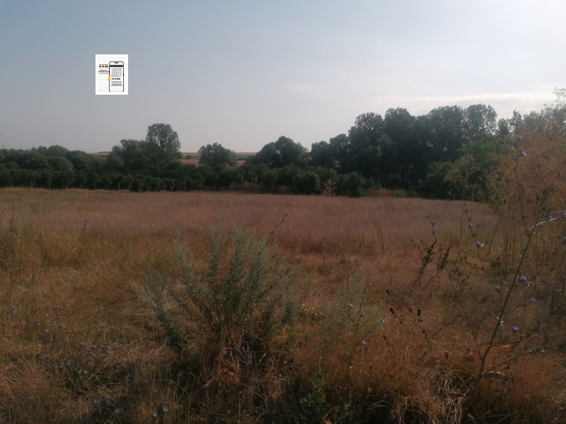 For Sale  Plot region Varna , Levski , 1145 sq.m | 37686199 - image [3]