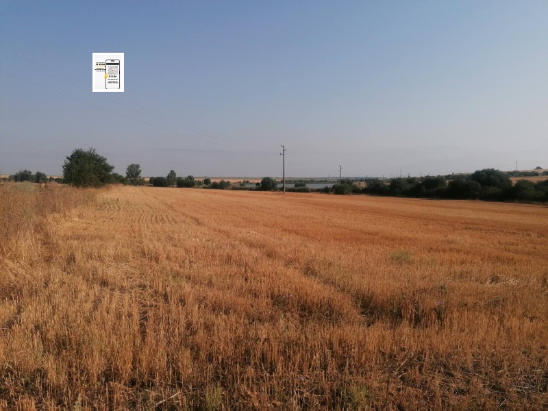 For Sale  Plot region Varna , Levski , 1145 sq.m | 37686199 - image [2]