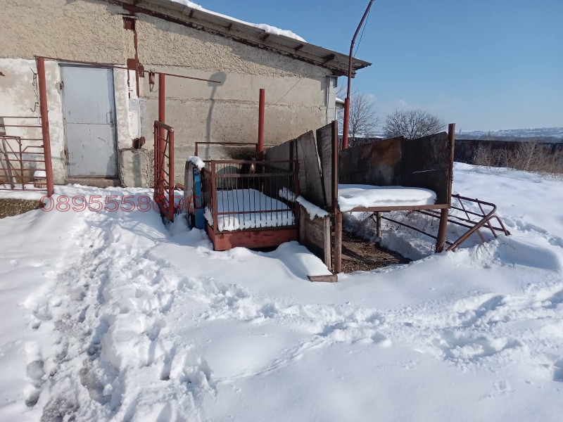 Продава БИЗНЕС ИМОТ, с. Гецово, област Разград, снимка 10 - Други - 52823952