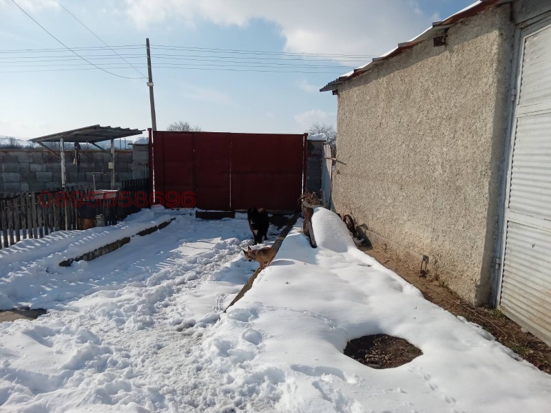 Продава БИЗНЕС ИМОТ, с. Гецово, област Разград, снимка 5 - Други - 52823952