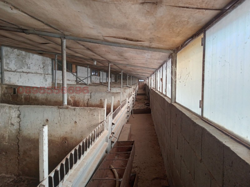 Продава БИЗНЕС ИМОТ, с. Гецово, област Разград, снимка 9 - Други - 52823952