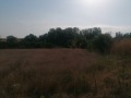 Продава ПАРЦЕЛ, с. Левски, област Варна, снимка 6