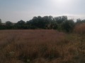 Продава ПАРЦЕЛ, с. Левски, област Варна, снимка 5