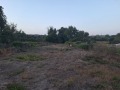 Продава ПАРЦЕЛ, с. Ушинци, област Разград, снимка 1