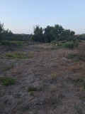 Продава ПАРЦЕЛ, с. Ушинци, област Разград, снимка 2