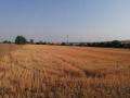 Продава ПАРЦЕЛ, област Варна, с. Левски • 30000 € • 51739491 — Holmes.bg