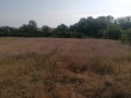 Продава ПАРЦЕЛ, област Варна, с. Левски • 30000 € • 51739491 — Holmes.bg