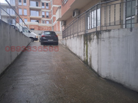 ����� ������� �����,���� ����, ������