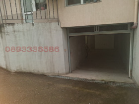 ����� ������� �����,���� ����, ������