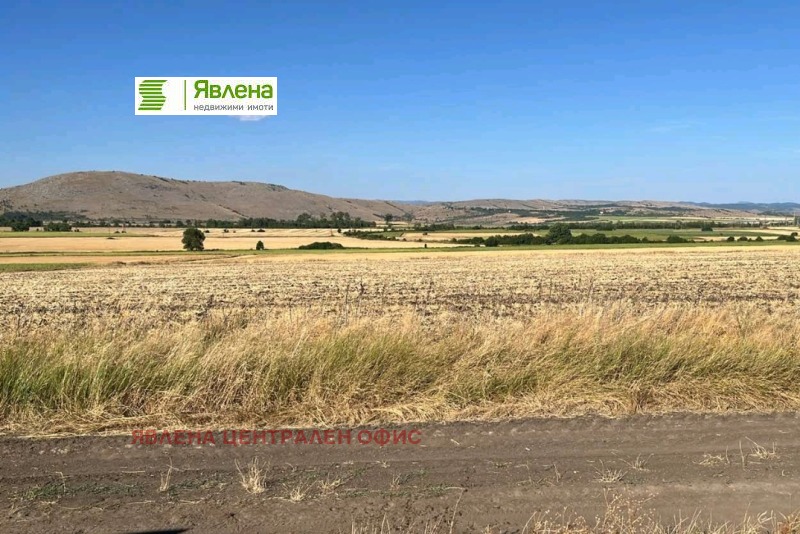 For Sale  Plot region Sofia , Aldomirovtsi , 58104 sq.m | 75136117 - image [2]